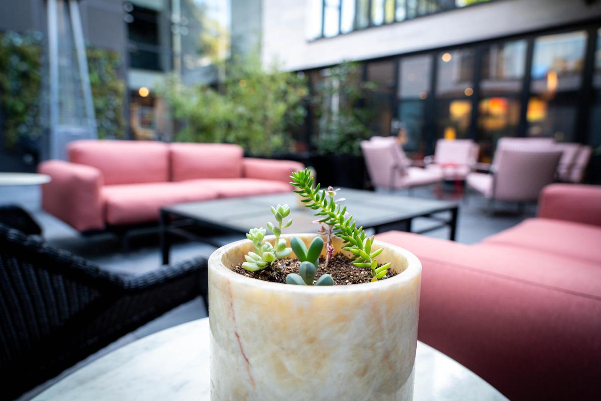 Ladera Boutique Hotel Santiago de Chile Zewnętrze zdjęcie